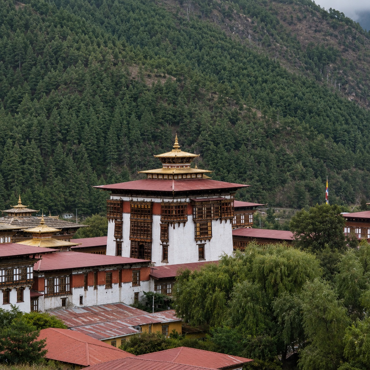 De Support Tourism Services - Bhutan - Thimphu - Tour