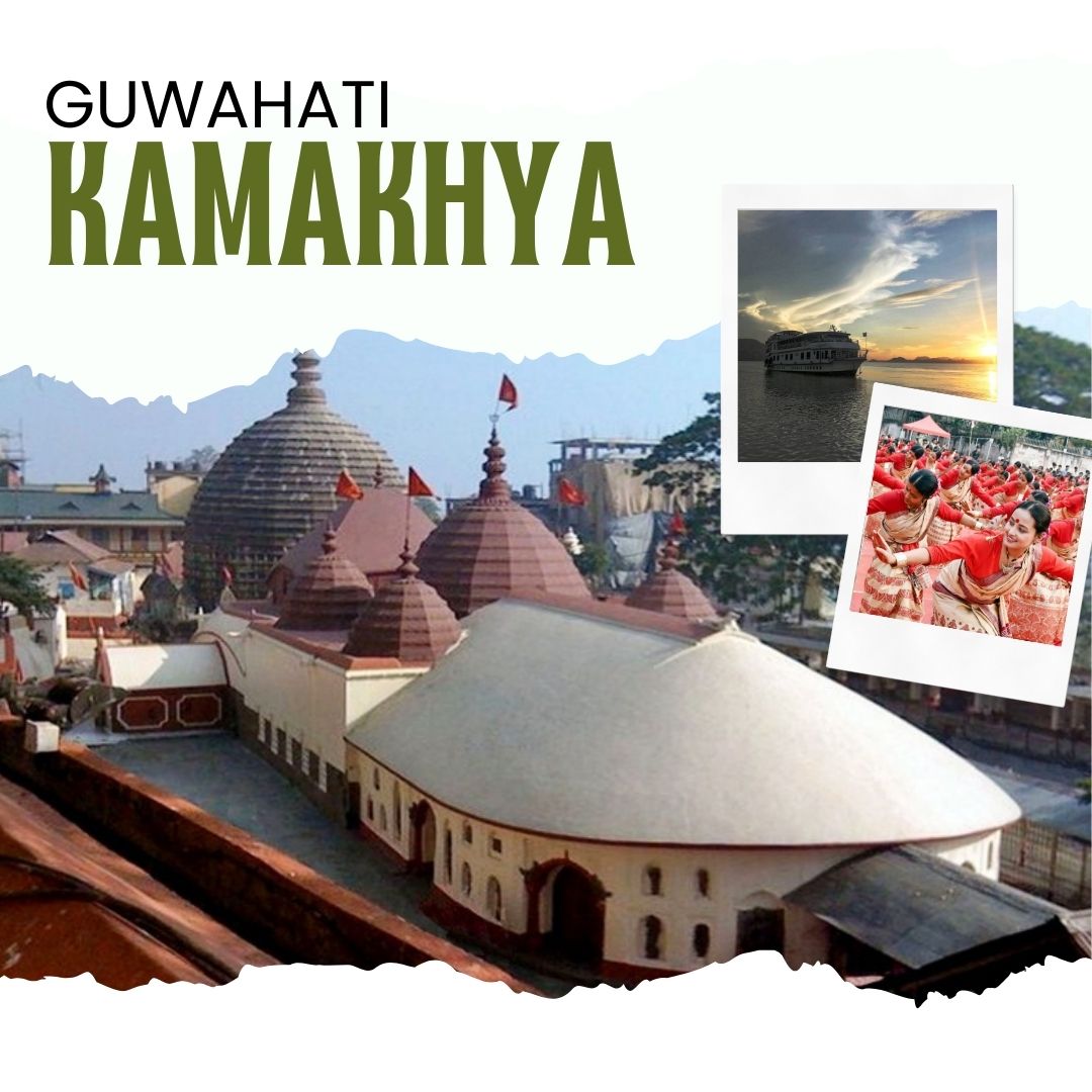 Wildlife Safari in Kaziranga