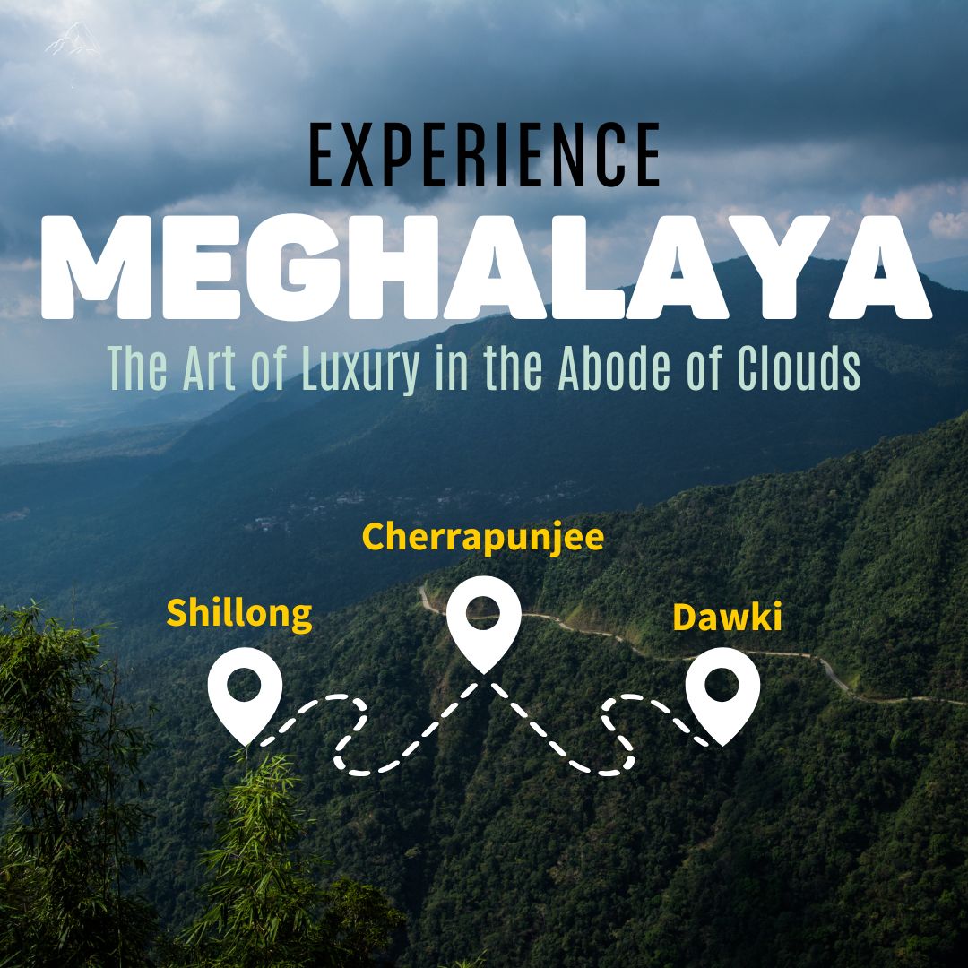 Living Root Bridge in Cherrapunji Meghalaya