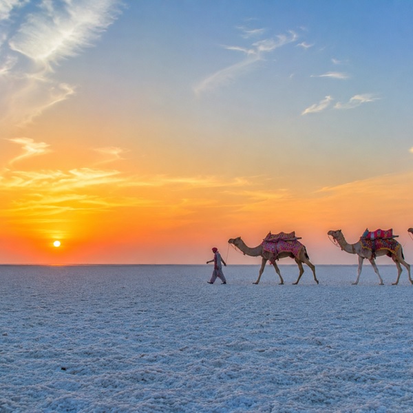 Sacred Gujarat Luxury Journey | Temples, Heritage and Timeless Experiences